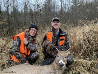 Dachshund deer recovery