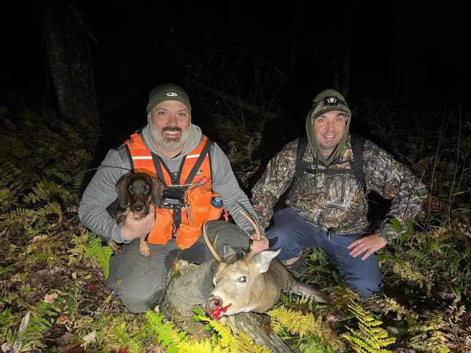 Dachshund on Big Game recovery